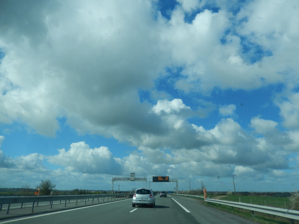 DSCN1631