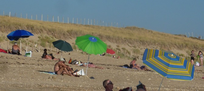 Parasol tournesol girasol