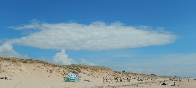 ¿Qué has visto en la isla de Ré? – qu’as-tu vu sur l’île de Ré ?