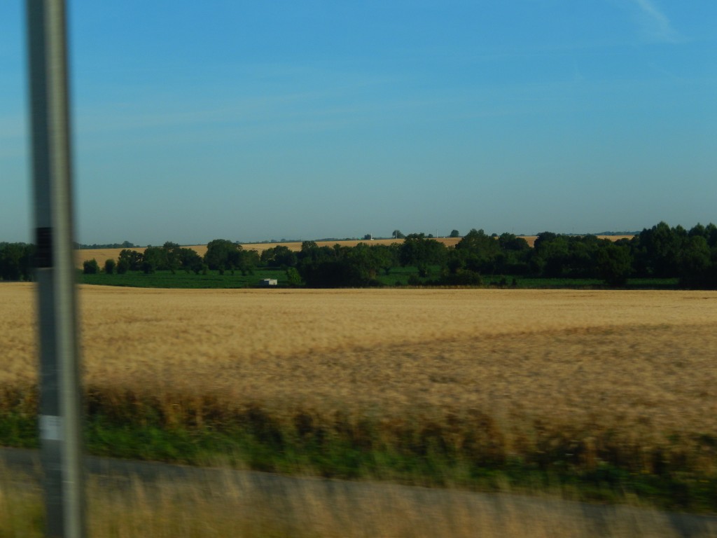DSCN6351