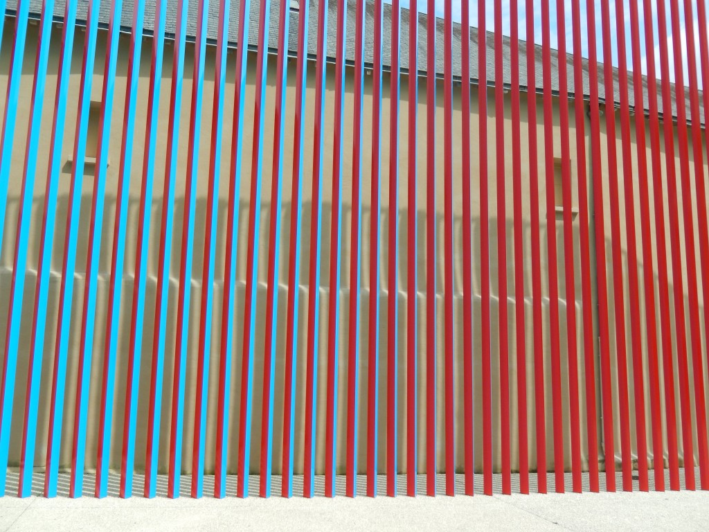 DSCN6461