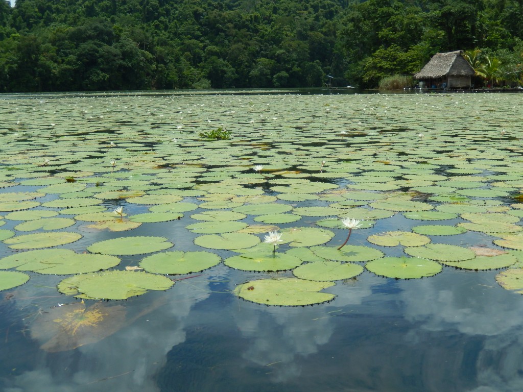 guatemala-atlantico_canon_rio_dulce18