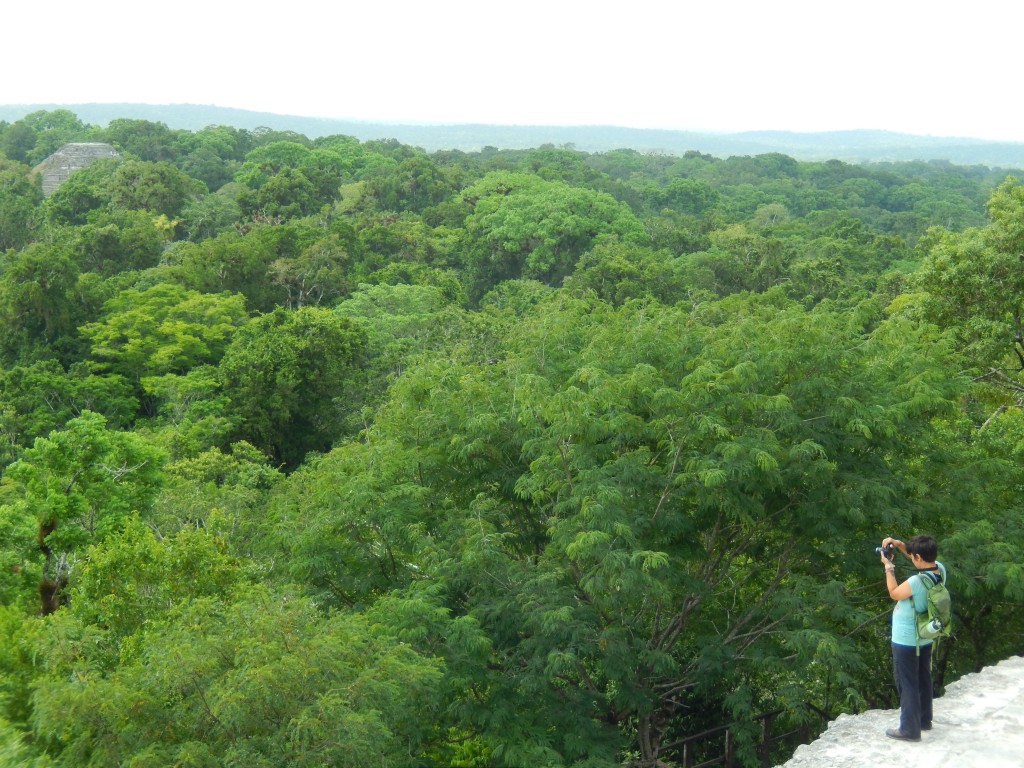 guatemala-tikal_tikal120