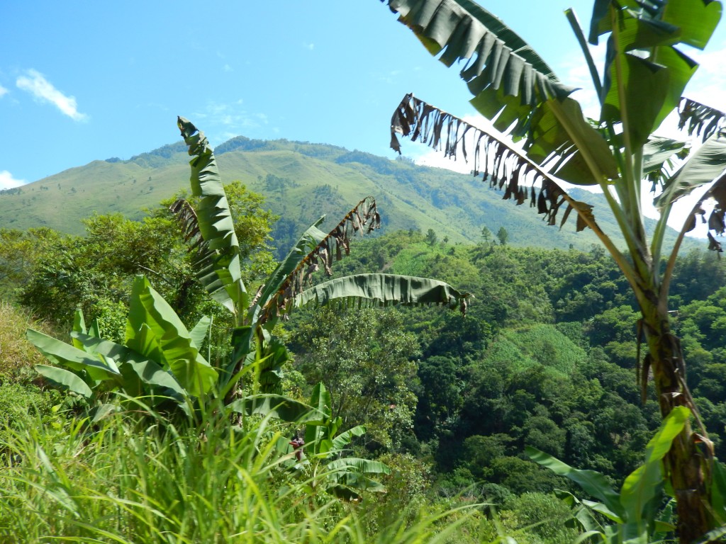 guatemala-verapaz_de_lanquin_a_cahabon31