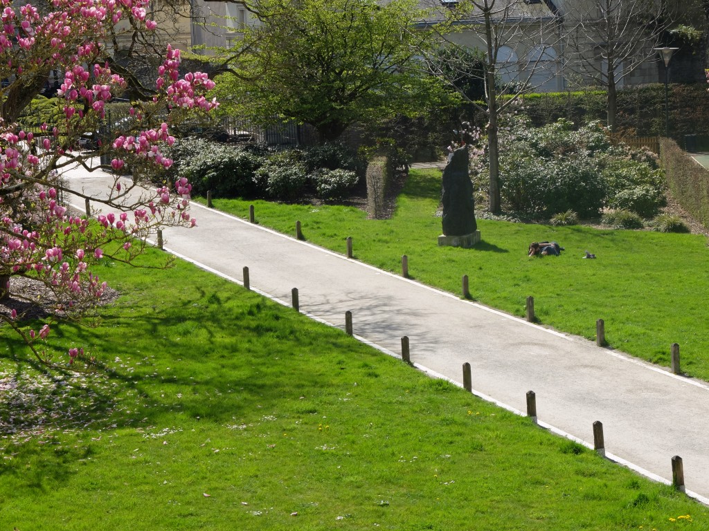 angers2015musee_des_beaux_arts_et_jardin72