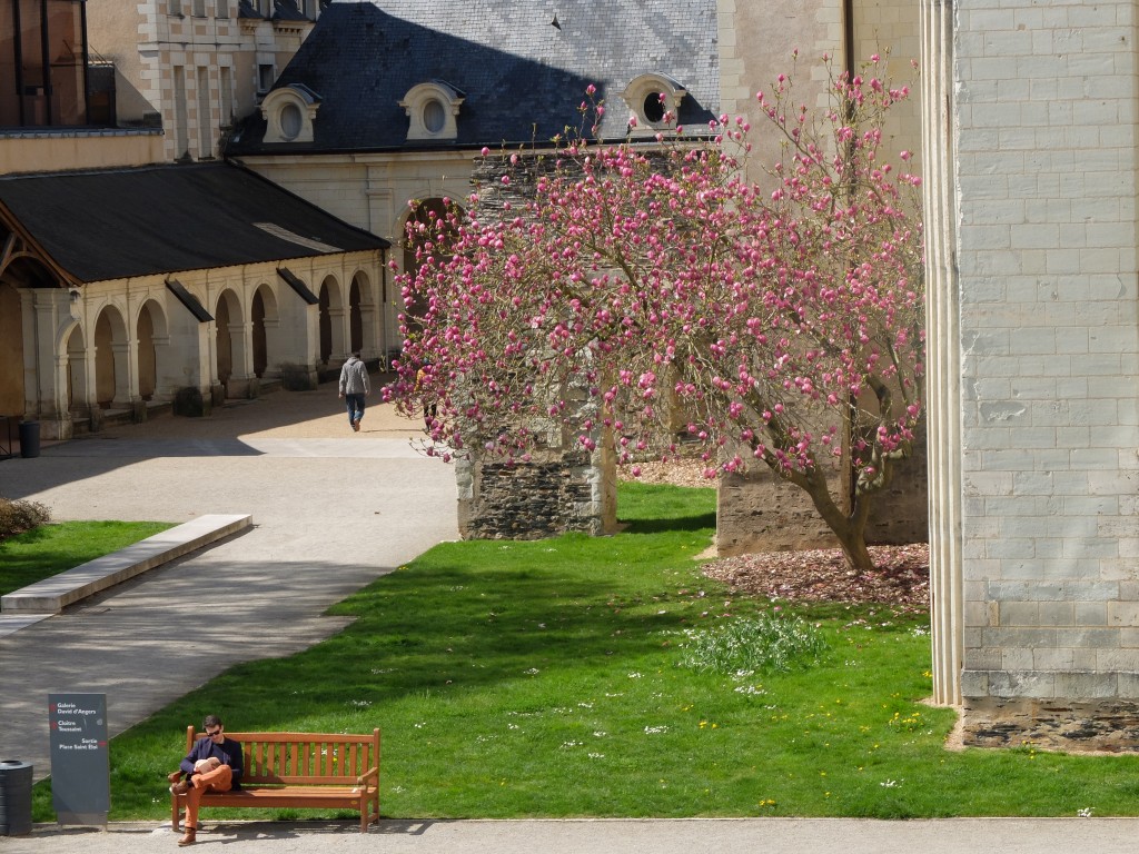 angers2015musee_des_beaux_arts_et_jardin73