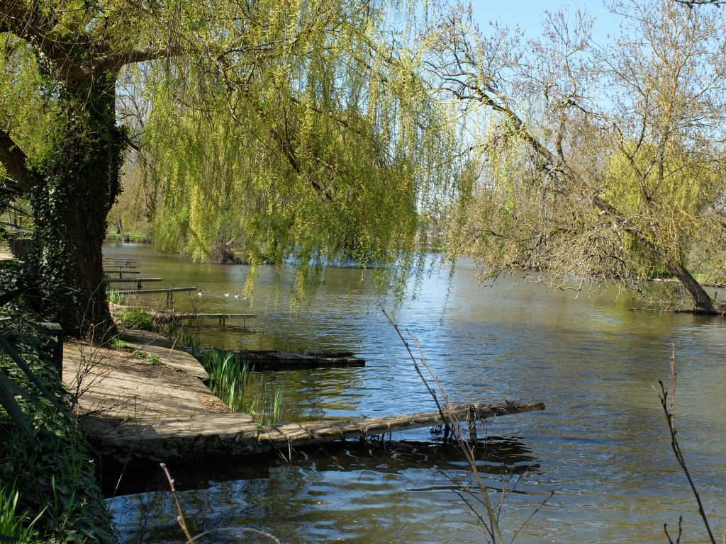 montreuil-bellay41