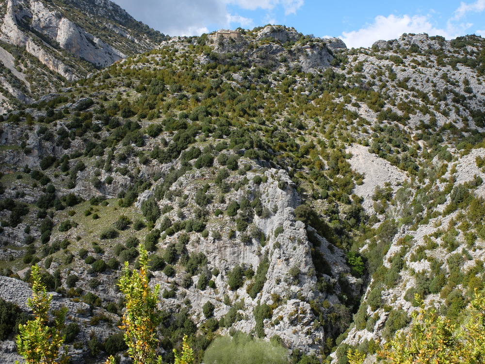 2016abrilrodellar-colores2