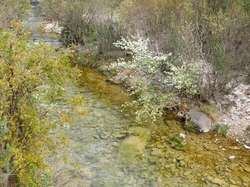 2016abrilrodellar-primavera7