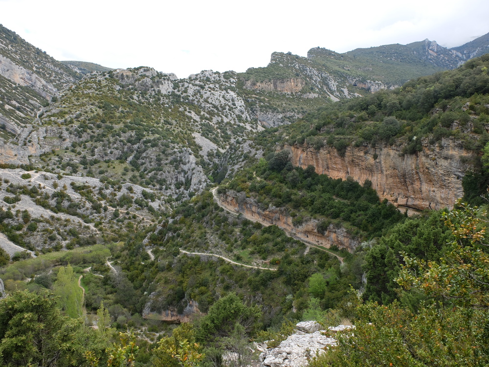 2016abrilrodellar-telu2