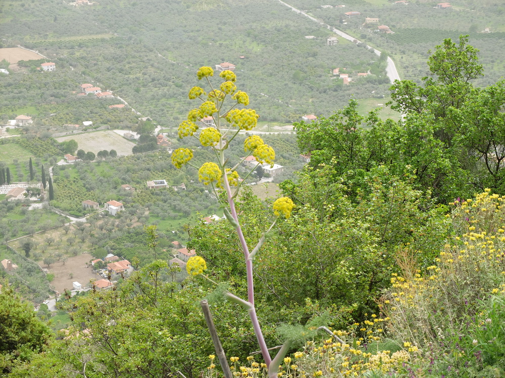 2016avril-grece-mistra17