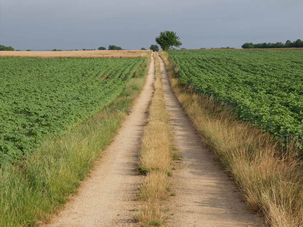 entre-coulomiers-et-exoudun7