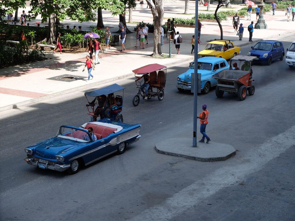 acuba2016la-habana-bellas-artes14