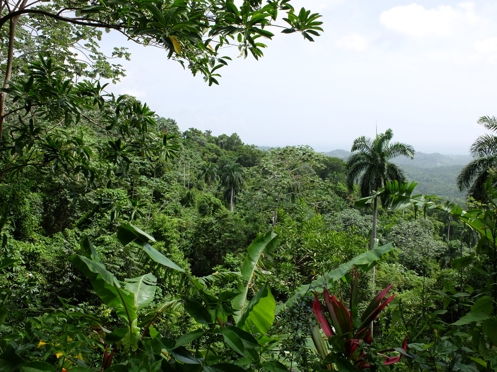 cuba2016baracoa-el-yunque10