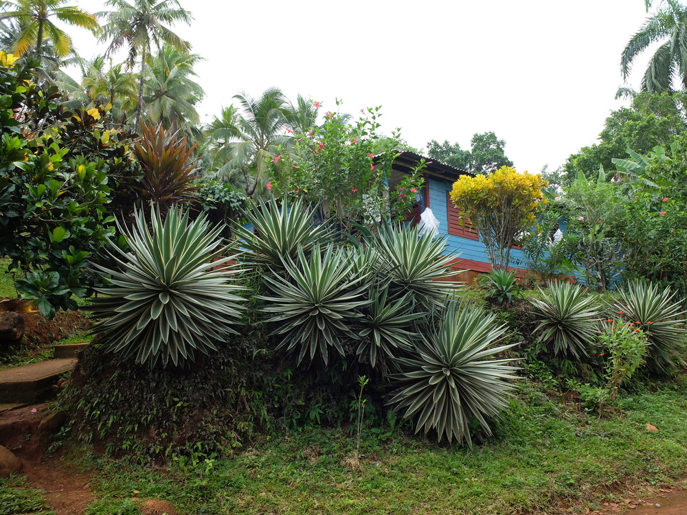 cuba2016baracoa-el-yunque3