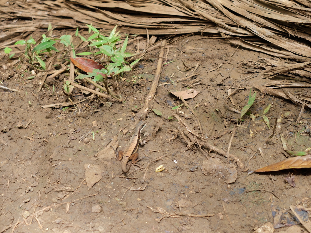 cuba2016baracoa-el-yunque31