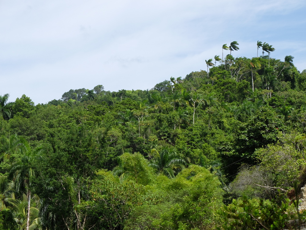 cuba2016baracoa-el-yunque38