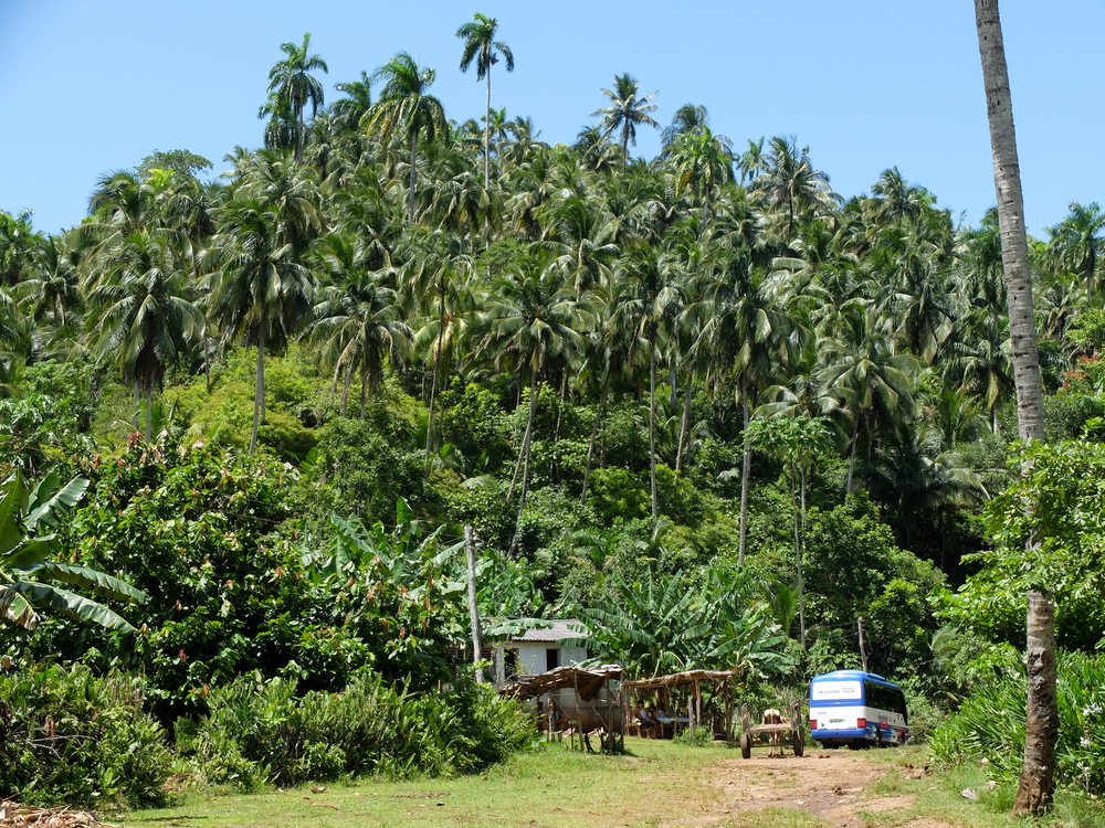 cuba2016baracoa-parque-de-humbolt45