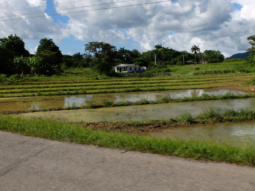 cuba2016vinales-playa-jutias34