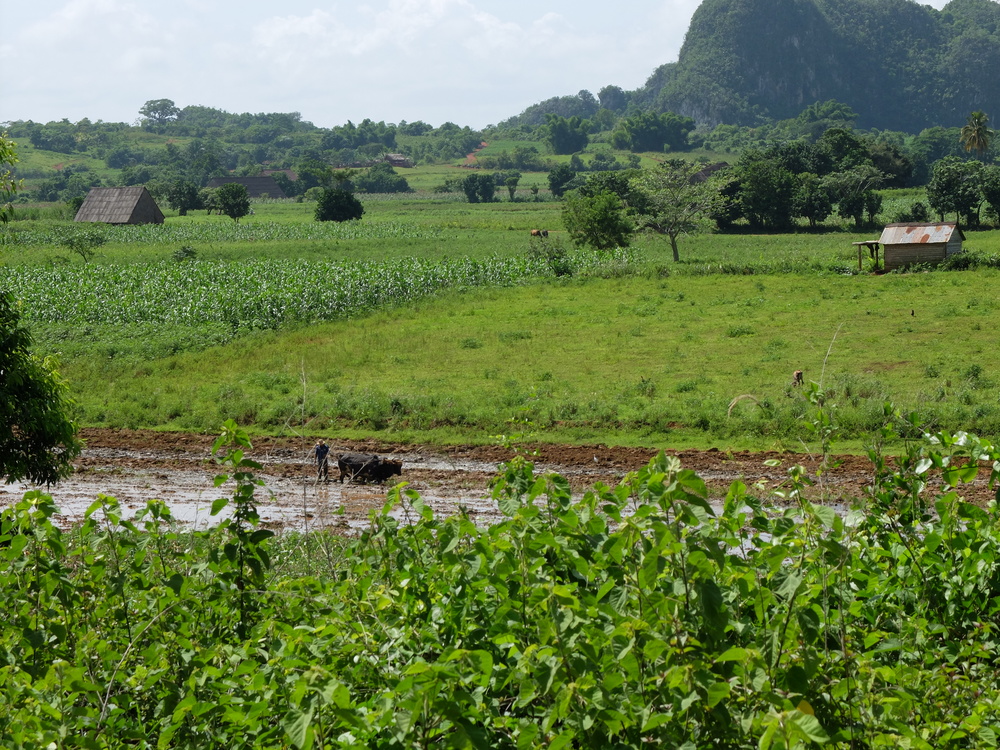 cuba2016vinales13