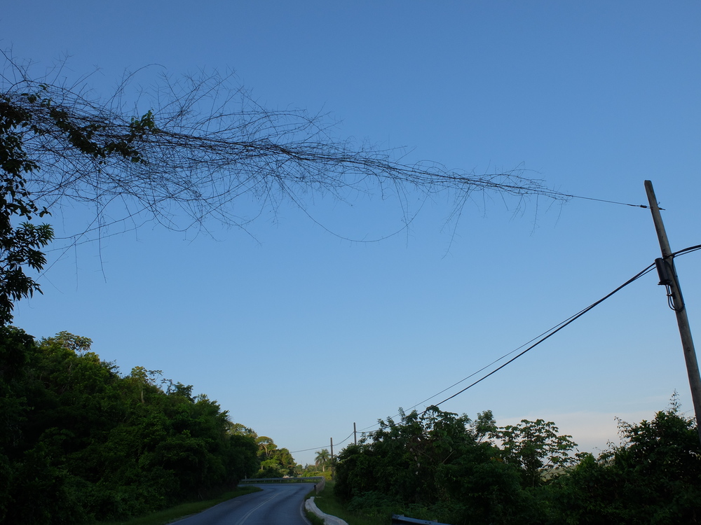 cuba2016vinales33