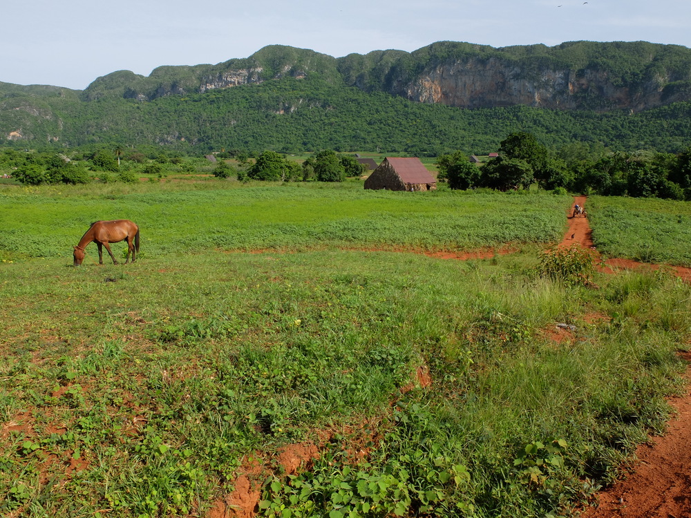 cuba2016vinales5