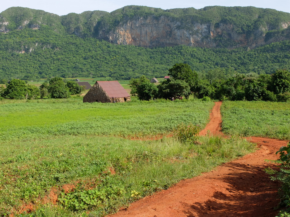 cuba2016vinales6