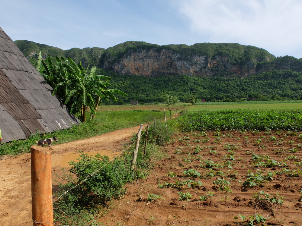 cuba2016vinales7