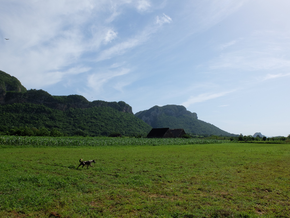 cuba2016vinales8