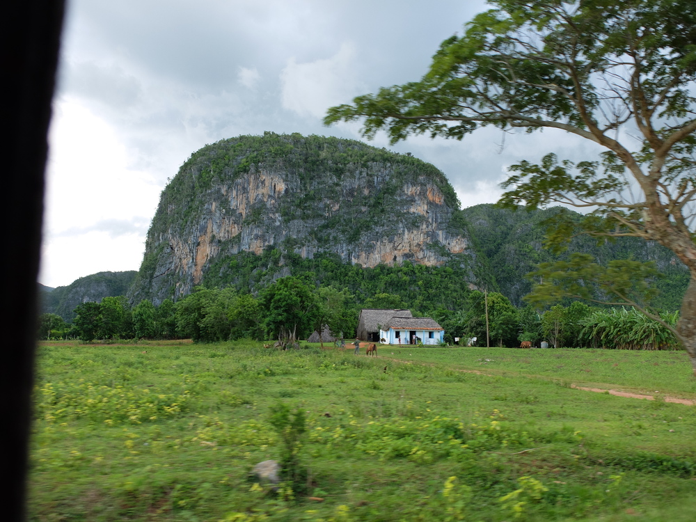 cuba2016vinales86