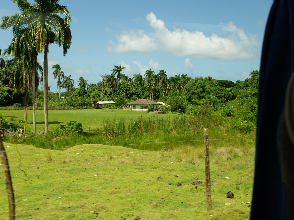 vert-cuba2016baracoa-parque-de-humbolt48