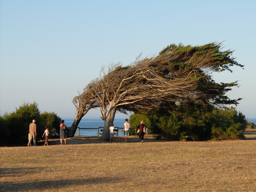 aoleron-aout201692