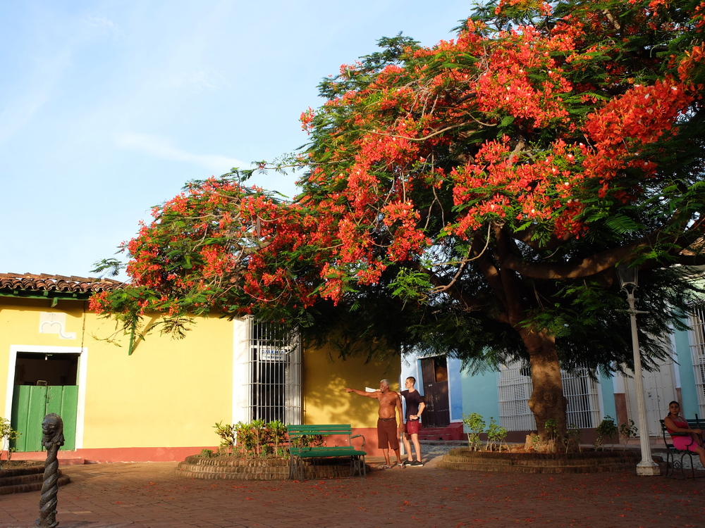 cuba2016trinidad114