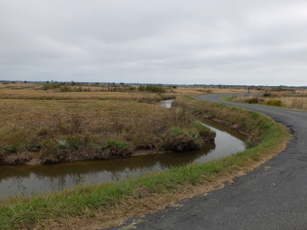 oleron-aout201640