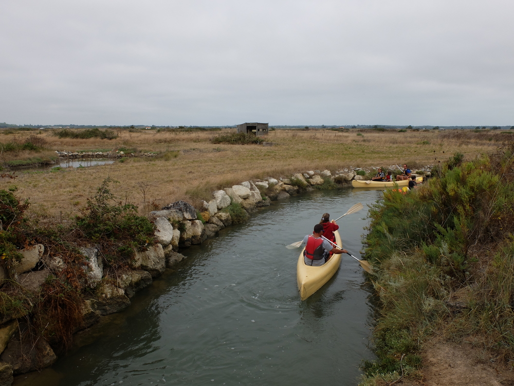 oleron-aout201642