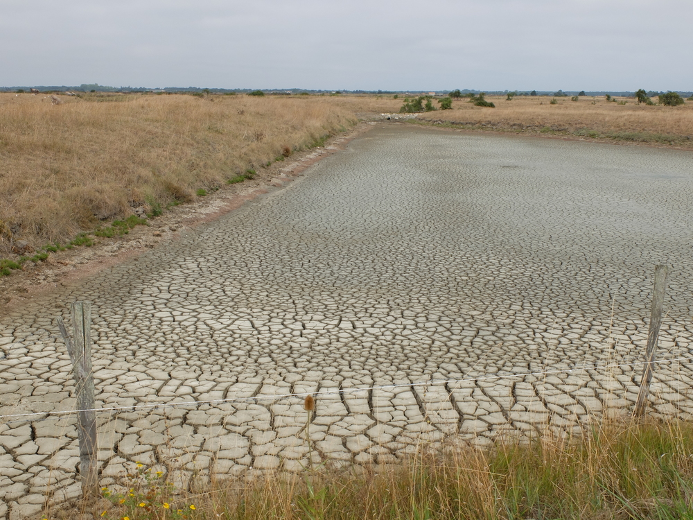 oleron-aout201650