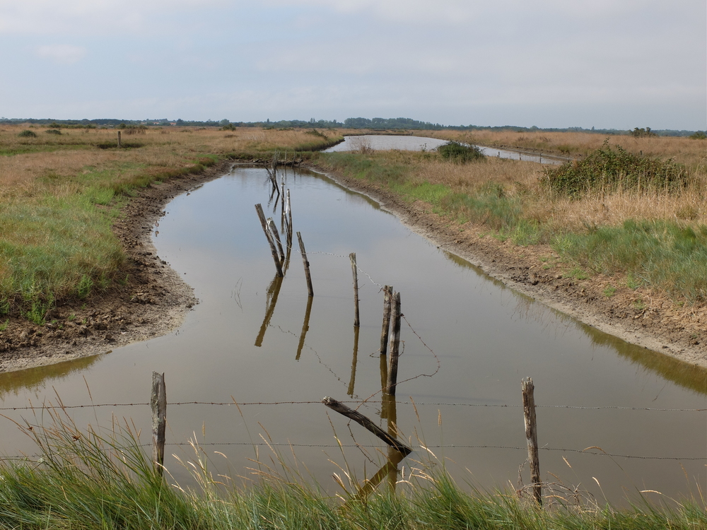 oleron-aout201652