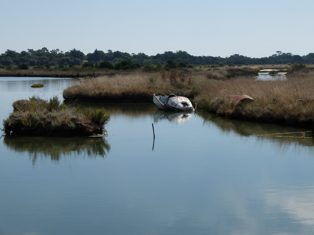 oleron-aout201655