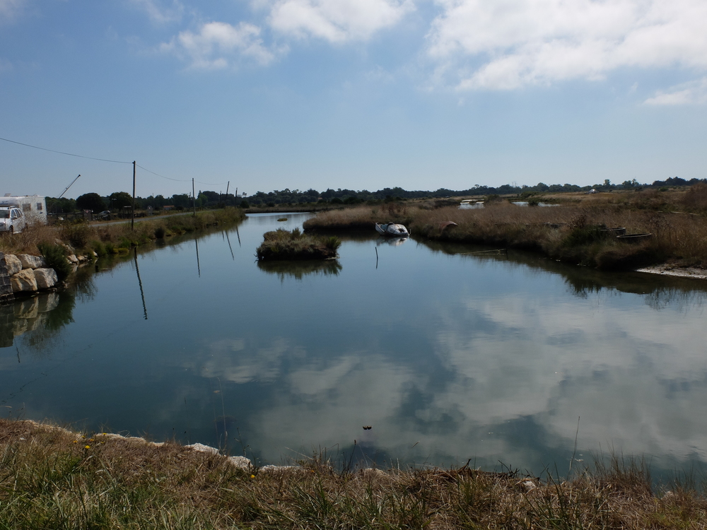 oleron-aout201656