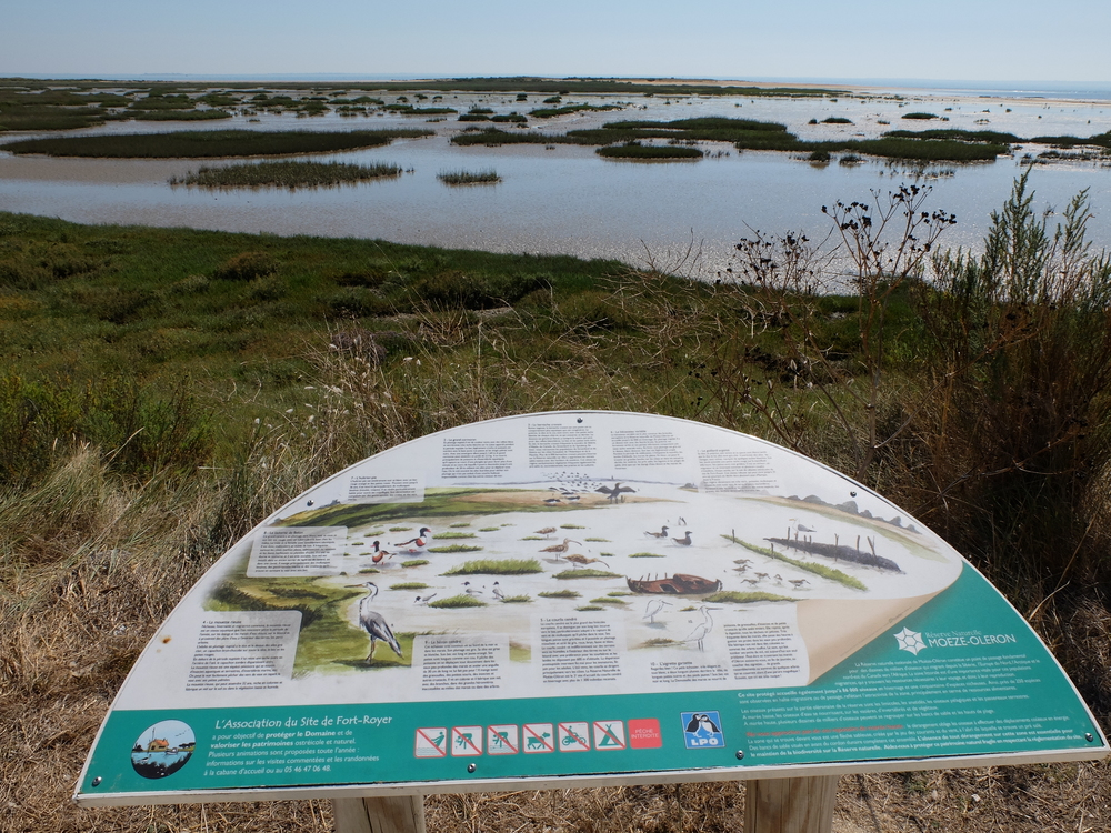 oleron-aout201659