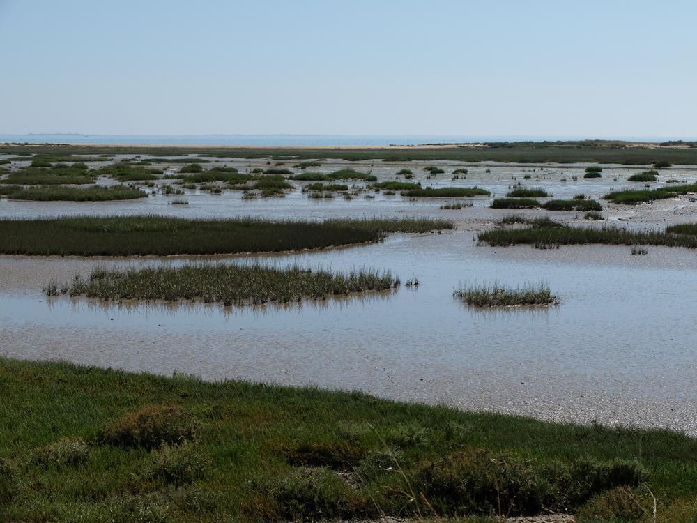 oleron-aout201661