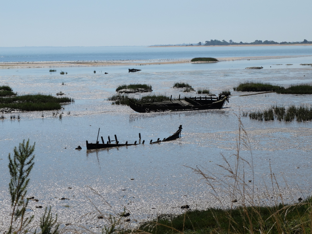 oleron-aout201662