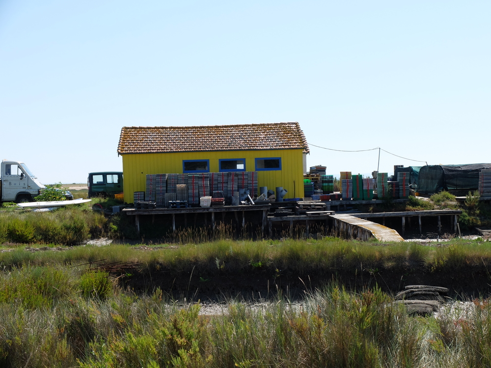 oleron-aout201663