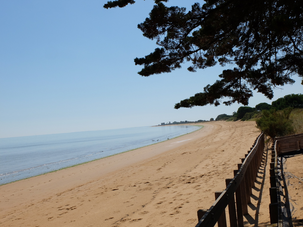 oleron-aout201665