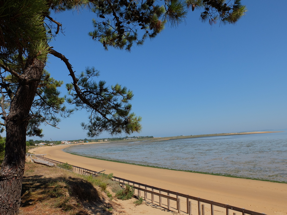 oleron-aout201668