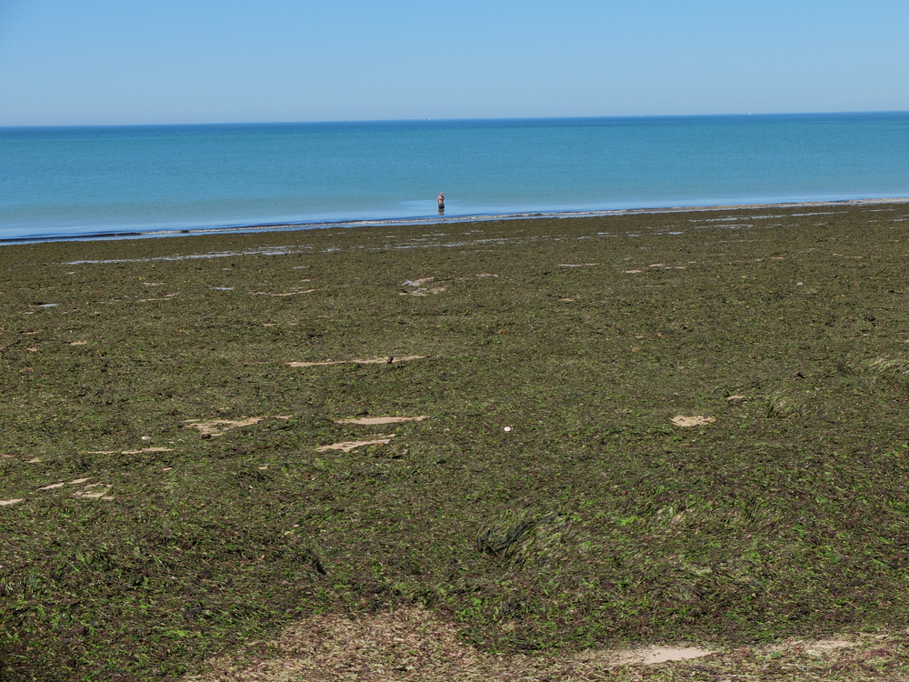 oleron-aout20167b