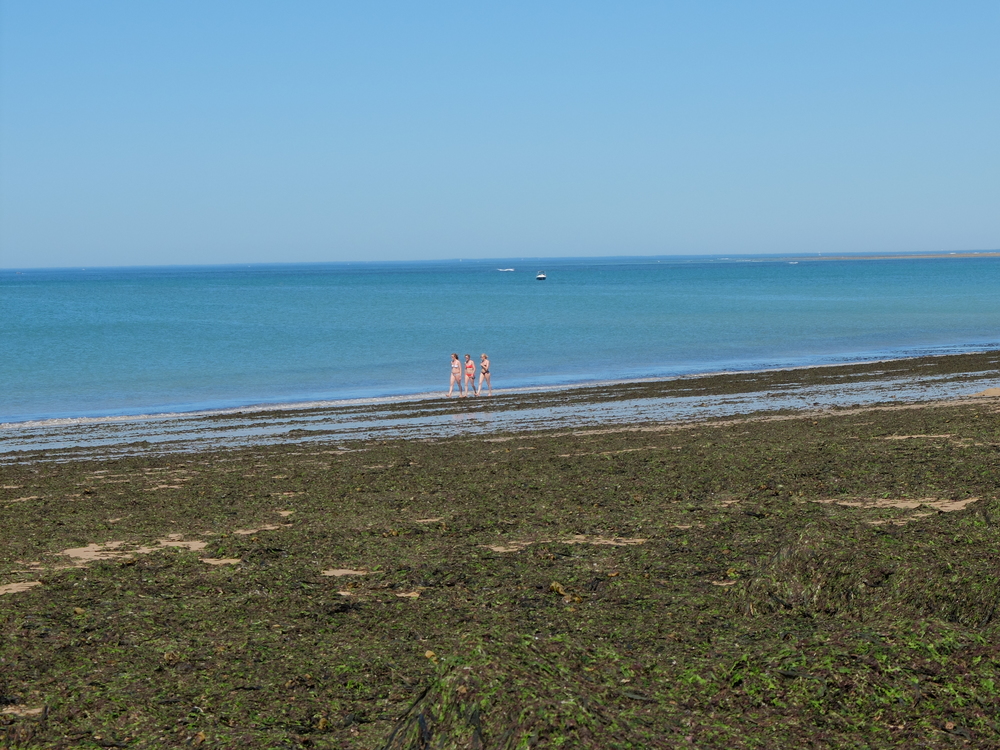 oleron-aout20169b