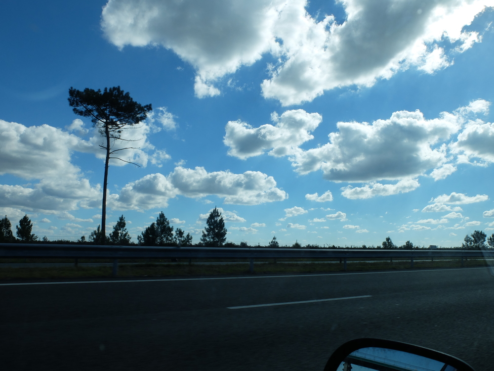 dscf5431