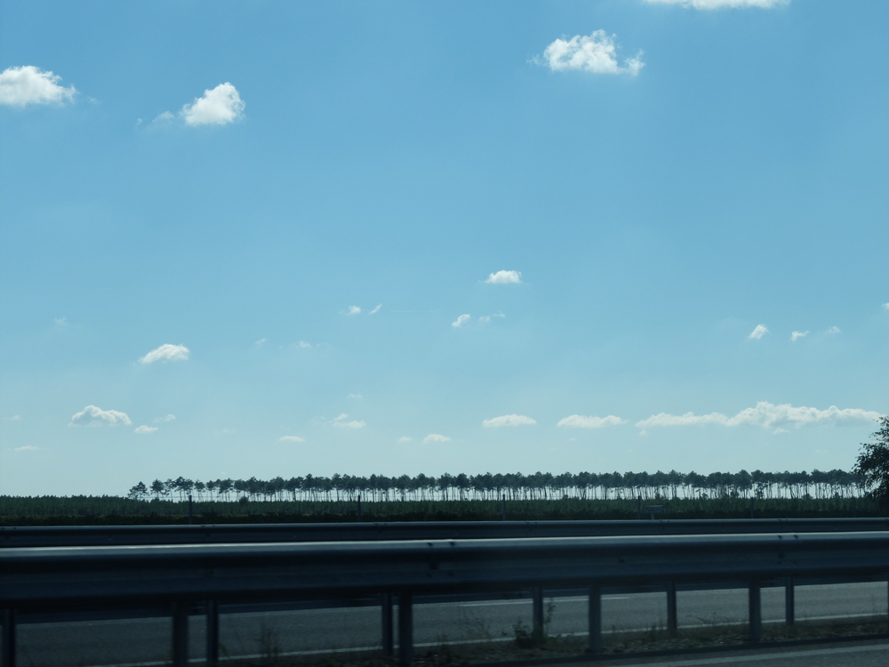 dscf5441
