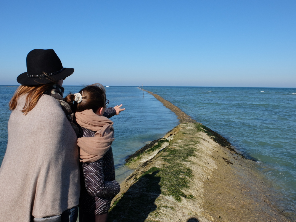 ile-de-re-arboles-maree-basse12